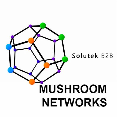 reciclaje tecnológico de Routers Mushroom Networks