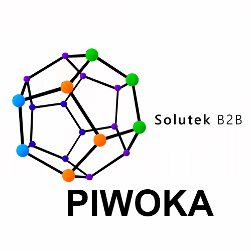 reparación de cámaras Piwoka