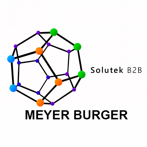 reparacion de paneles solares Meyer Burger